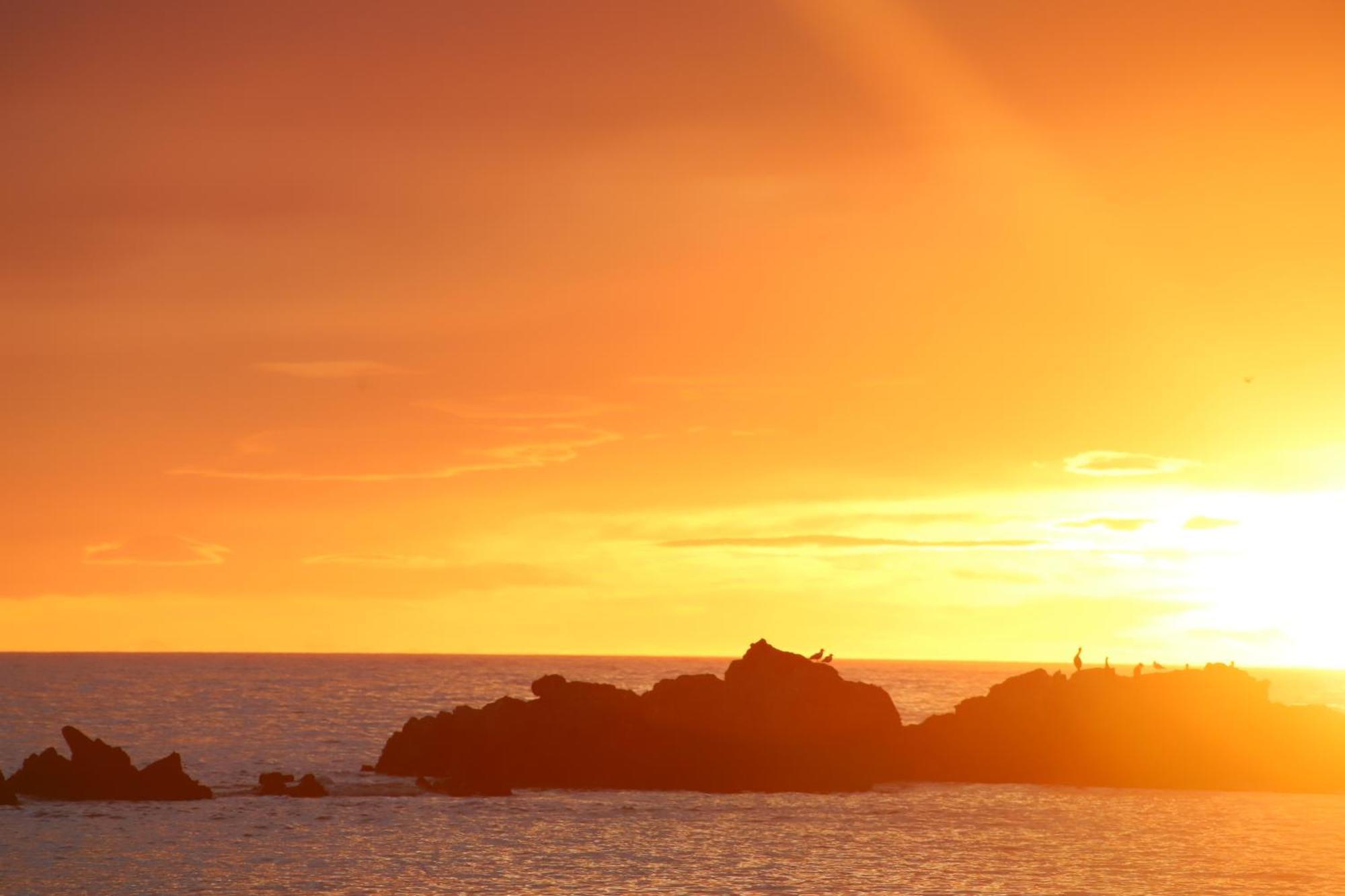 Sierra Beachfront Motel Kaikoura Bagian luar foto