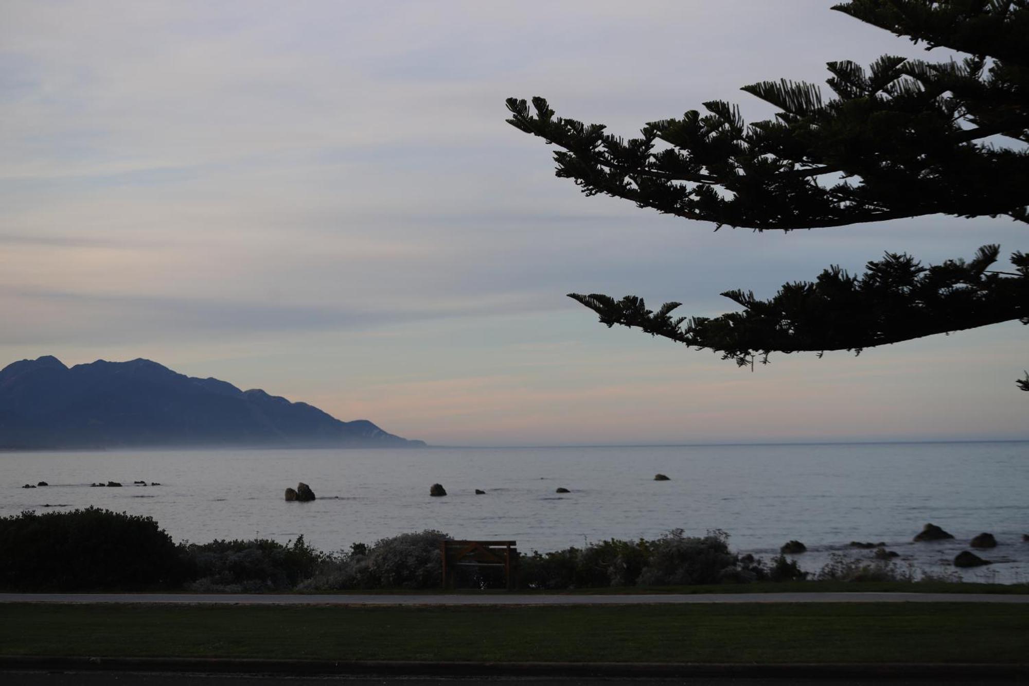Sierra Beachfront Motel Kaikoura Bagian luar foto